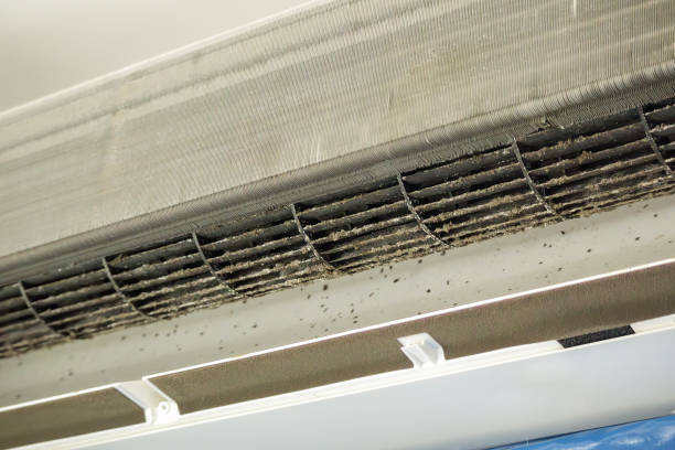 Ductwork Cleaning Services in Casselton, ND